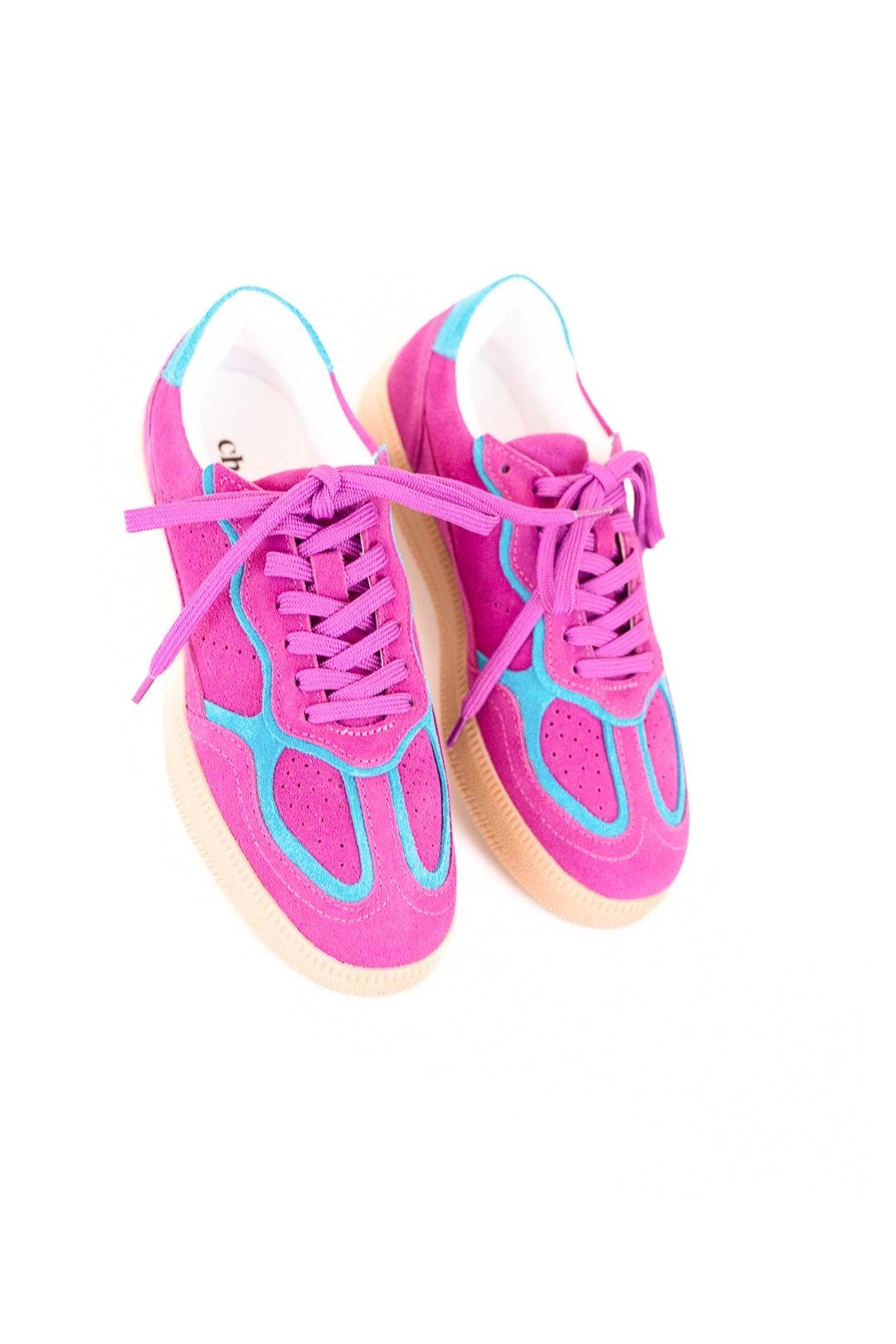CHAMPIONES MAMBO MAGENTA