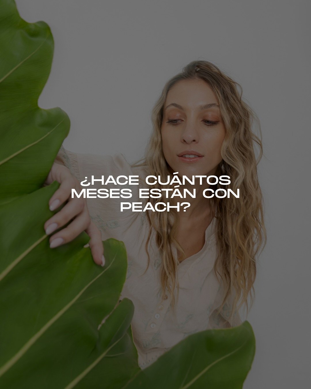 Imagen de posteo de Instagram